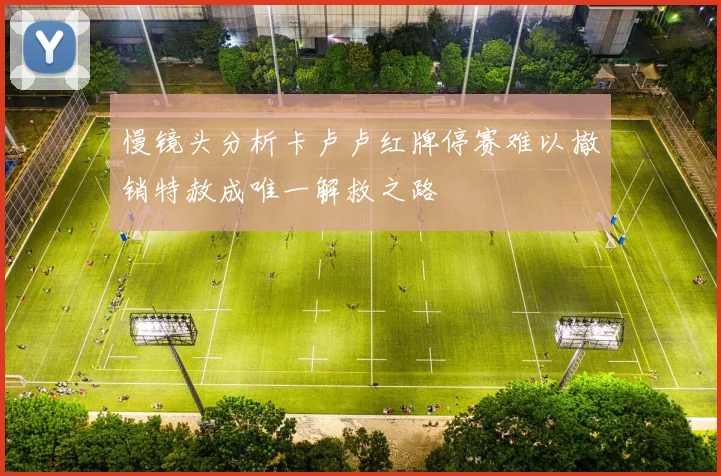 慢镜头分析卡卢卢红牌停赛难以撤销特赦成唯一解救之路